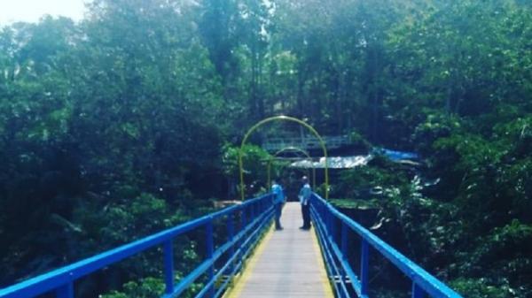 Tempat Wisata di Pringsewu Talang Indah Tempat Wisata di Pringsewu Talang Indah. (Foto: Istimewa).