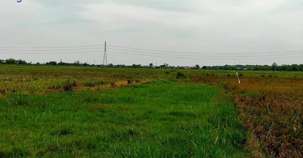 IMG 15112021 171627 822 X 430 Piksel