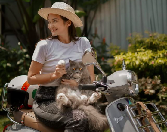 Deretan artis cantik penyuka kucing ras seharga puluhan juta rupiah. (foto: Instagram)