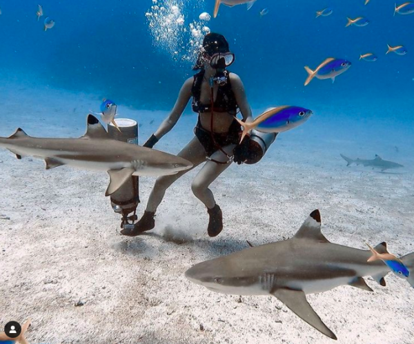 Deretan Artis Cantik Hobi Diving. (Foto: Instagram)