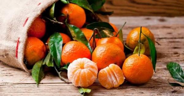 Buah Jeruk Buah jeruk yang banyak mengandung vitamin C salah satu cara mengobati sariawan dengan cepat secara alami. (Foto : Ist)