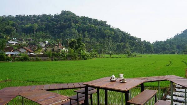 kopi desa muncar muncer (Foto: Instagram @Muncar_muncer kopi)