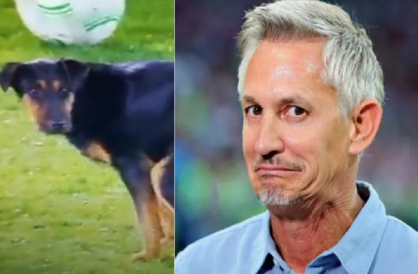 Legenda Timnas Inggris, Gary Lineker Legenda Timnas Inggris, Gary Lineker merasa bernostalgia saat melihat ada anjing BAB di lapangan pertandingan. (Foto: Istimewa)