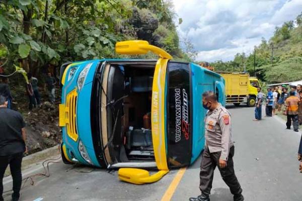 Bus Terguling Bus pariwisata tak kuat menanjak. Bus kemudian mundur dan menabrak tebing lalu terguling. (Foto : Ist)