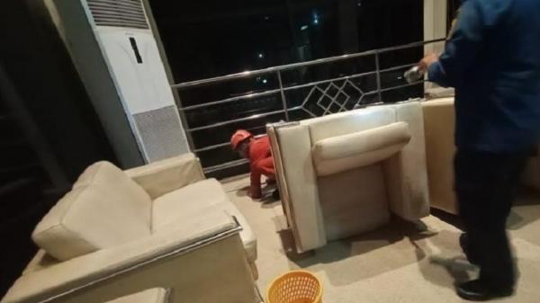 Ular Kobra Dievakuasi dari Kantor Disdukcapil Bogor, Bersembunyi di Bawah Mesin AC