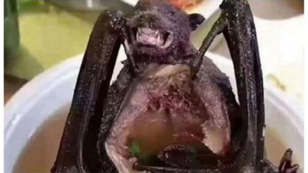 paniki Paniki dari Manado, makanan tradisional yang ekstrem di Indonesia. (Foto: Facebook)