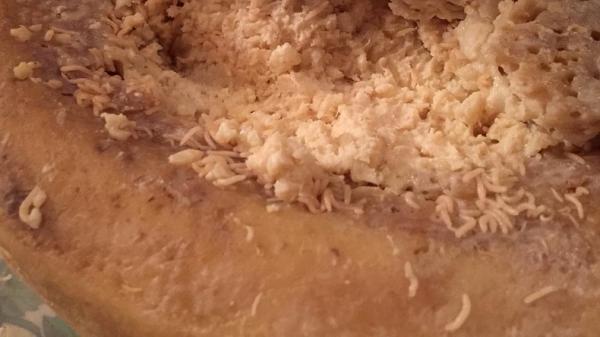 Kuliner ekstrem casu marzu asal Italia Kuliner ekstrem casu marzu asal Italia (Foto: Instagram primerorelax)