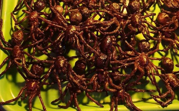 Kuliner ekstrem tarantula goreng Kuliner ekstrem tarantula goreng (Foto: Instagram taripapex)