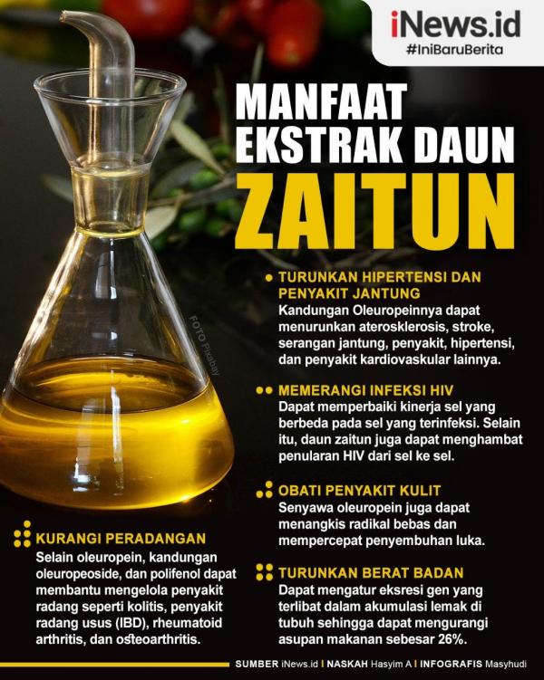 Minyak Zaitun 2