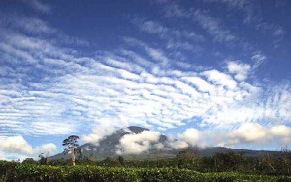 Gunung Dempo di Kota Pagaralam, Sumsel. (Foto: Ist)