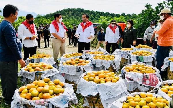 Presiden Republik Indonesia Joko Widodo di Kampung Jeruk, Desa Kutambelin, Liang Melas Datas, Kecamatan Tiga Binanga, Kabupaten Karo, Jum`at (4/2/2022). (Foto: Biro Setpres) Presiden Republik Indonesia Joko Widodo di Kampung Jeruk, Desa Kutambelin, Liang Melas Datas, Kecamatan Tiga Binanga, Kabupaten Karo, Jum`at (4/2/2022). (Foto: Biro Setpres)