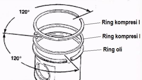 Ring Piston