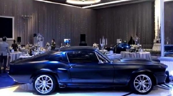 Mustang Shelby