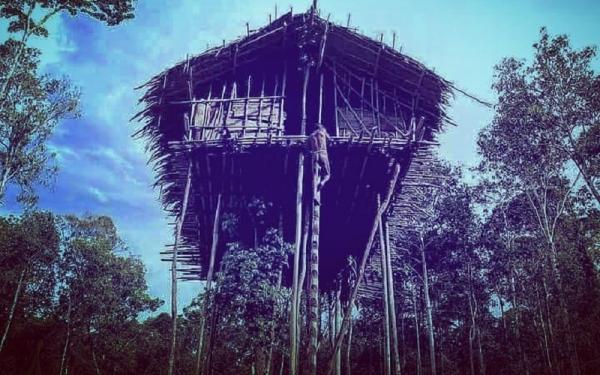 Suku Korowai (Foto:  Instagram westpapuaisland)