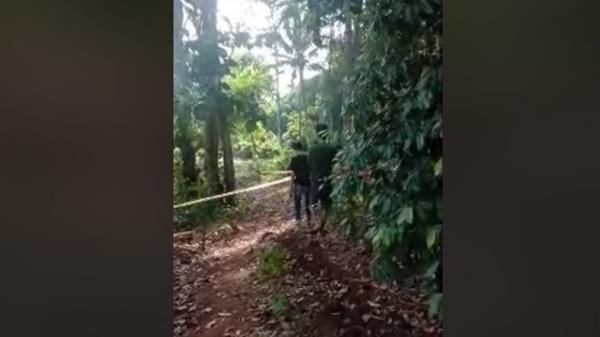 bocah SD dimutilasi di perkebunan Lampung Warga Kecamatan Rajabasa Lama, Lampung Timur geger. Mereka menemukan mayat bocah di perkebunan (Istimewa)