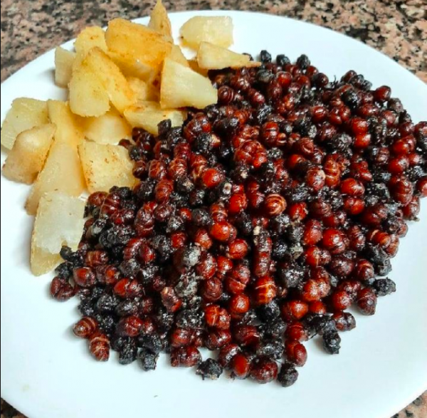 Makanan Paling Ekstrem di Dunia. (Foto: istimewa)