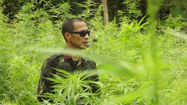 Direktur Narkotika Deputi Pemberantasan BNN Direktur Narkotika Deputi Pemberantasan BNN, Brigjen Pol Roy Hardi Siahaan (Syukri Syarifuddin/MNC Portal))