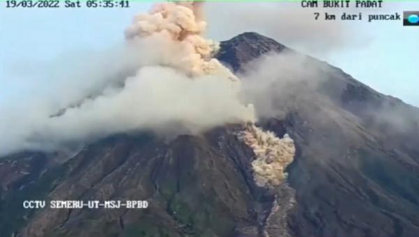 gunung semeru Penampakan Awan Panas Guguran Gunung Semeru, Sabtu (19/3/2022). (Foto: iNews.id).