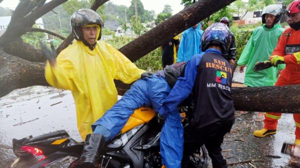 Pria Samarinda tewas tabrak pohon tumbang Pria di Samarinda tewas usai tabrak pohon tumbang (Dzulfikar Ash/MNC Portal)