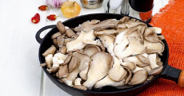 Makanan agar hamil anak laki-laki, Jamur Makanan agar hamil anak laki-laki, Jamur