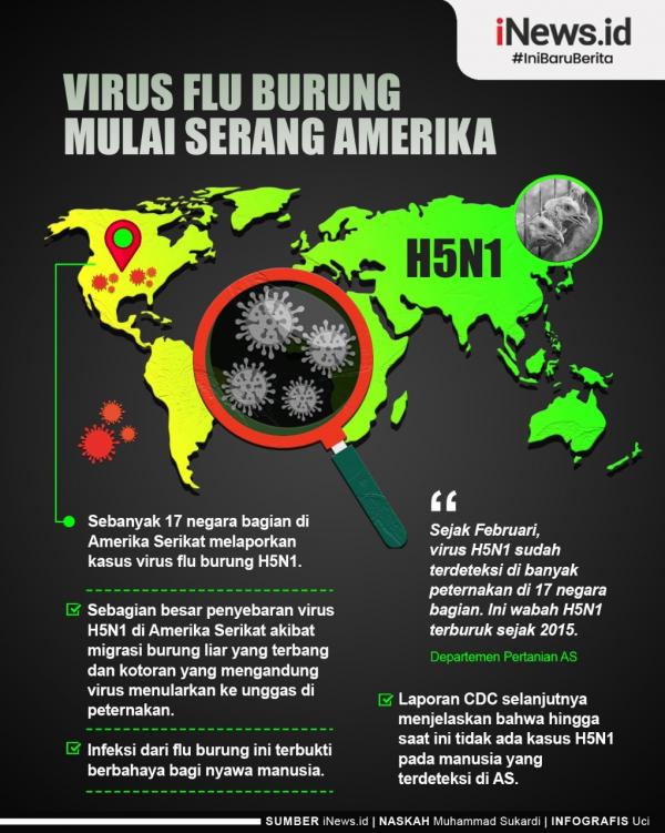 Waspada virus flu burung. (Foto: iNews.id)