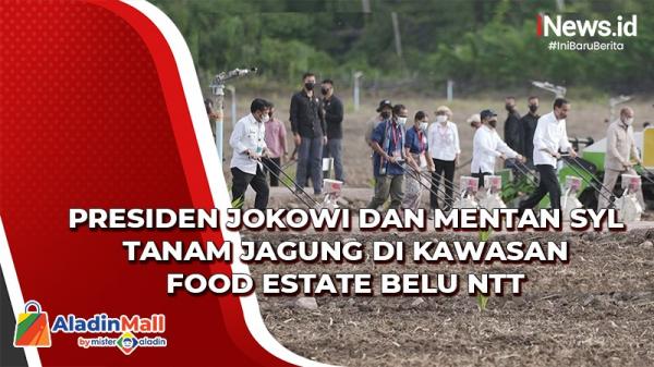 Presiden Jokowi dan Mentan SYL Tanam Jagung di Kawasan Food Estate Belu NTT