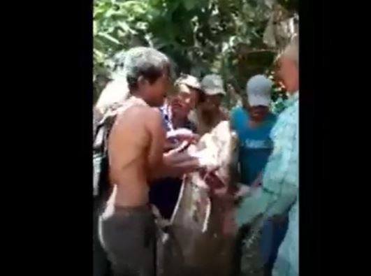 Penampakan ikan tapah raksasa yang dipancing di Sungai Padang, Tebingtinggi. (Foto: iNews TV/Abdullah Sani Hasibuan)