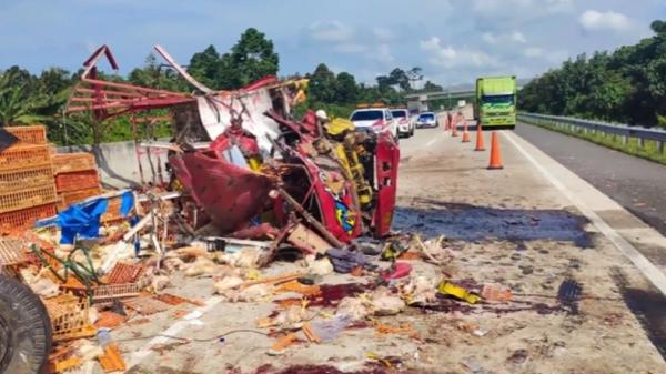 kecelakaan maut Kecelakaan maut terjadi di Jalan Tol Trans Sumatera Kalianda, Lampung Selatan. Akibat kejadian ini, puluhan nyawa melayang (Heri Fulistiawan/MNC Portal)