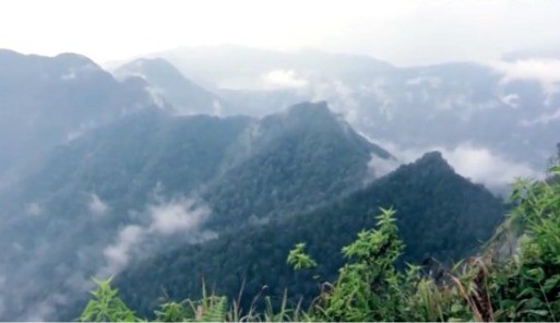 Misteri Gunung Burangrang Pecinta alam Bandung Raya menggelar aksi bersih-bersih Gunung Burangrang, KBB. Mereka menemukan banyak botol plastik berisi urine. (FOTO: ISTIMEWA)