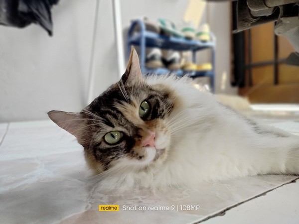 Realme 9 Foto