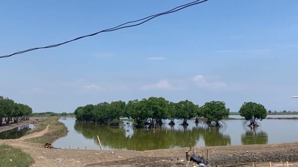 Penurunan Muka Tanah di Kampung Bungin Penurunan Muka Tanah di Kampung Bungin, Bekasi