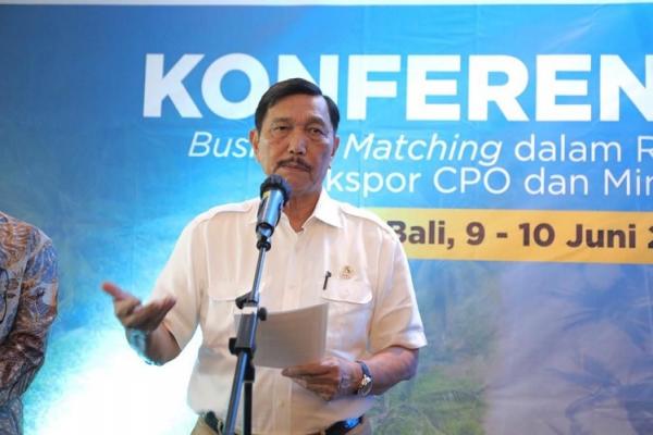 Menko Marves Luhut Binsar Pandjaitan Menko Marves Luhut Binsar Pandjaitan. (Foto: Kemenko Marves)