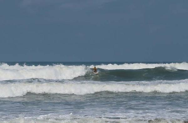 surfing parangtritis 60 peselancar meramaikan kompetisi surfing nasional di Pantai Parangtritis, Bantul. (foto: istimewa)