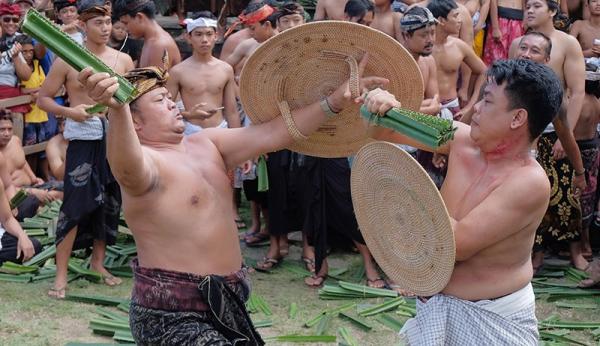 Perang Pandan 2 Perang Pandan Desa Tenganan. (Foto: ANTARA)