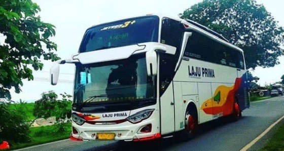 PO Laju Prima