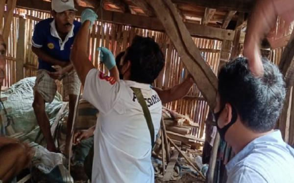 Bocah Tewas Tergantung di Kolom Rumah Panggung di Bima Ternyata Dibunuh, Pelaku Kakak Tiri (Foto: Dok Polres Bima)