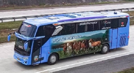 Bus Wisata Komodo