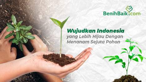(Foto: dok BenihBaik)