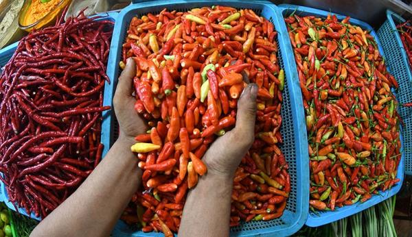 Harga Pangan Hari Ini Melonjak, Cabai Rawit Merah Nyaris Rp100.000 per Kg!
