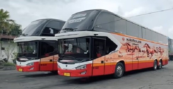 Avante D1