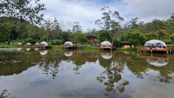 Igloo Camp Rancaupas, Kabupaten Bandung. (FOTO: ISTIMEWA/@igloocamp)