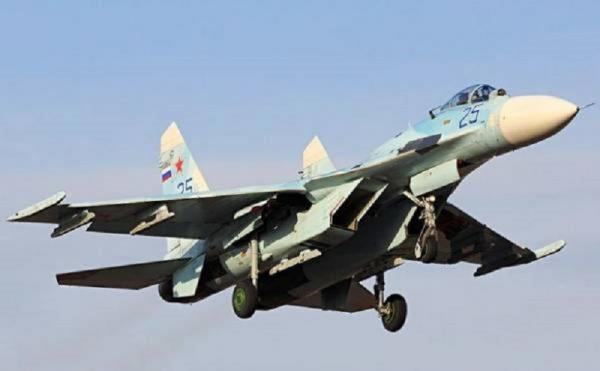 Pesawat Tempur Sukhoi Su 27 Foto Muraselon (Foto: Muraselon)