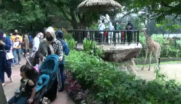Kebun binatang Bandung Pengunjung tampak ramai di Kebun Binatang Bandung, meski status lahan objek wisata itu berpolemik. (Foto: Billy Maulana Finkran)