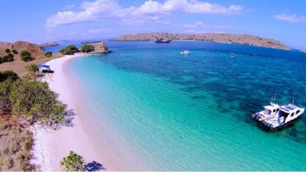 Pink Beach menjadi tempat populer yang dikunjungi oleh wisatawan di Pulau Komodo. (Foto : Wisata Lombok)