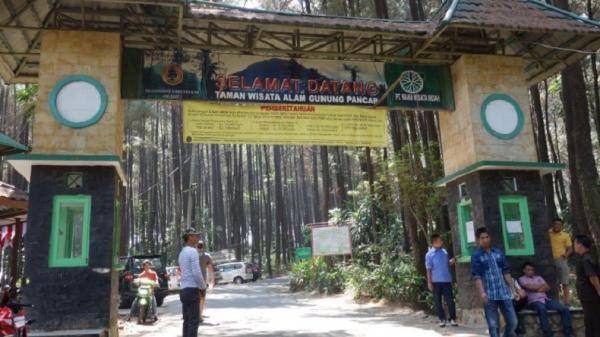 Wisata Alam Gunung Pancar Sentul merupakan wisata alam yang berada di Bogor, Jawa Barat. (Foto: sentul.city).