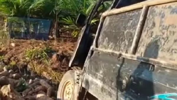 Pikap pengangkut singkong kecelakaan di Bangka Barat. (Foto: Ist)