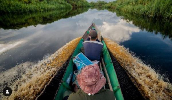 Taman Nasional Sebangau Taman Nasional di Kalimantan Tengah, Taman Nasional Sebangau (Foto