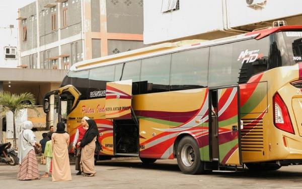 Deretan bus mewah asal Kalimantan, PO Bus Pulau Indah Jaya (Foto: Instagram/ Pulau Indah Jaya)