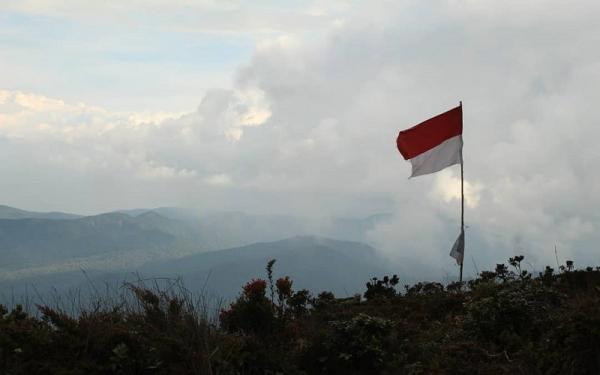 Gunung Sibuatan, Puncak Tertinggi di Sumatera Utara Simpan Tumbuhan Obat (Foto: Instagram/gunsipab_officiall) Gunung Sibuatan, Puncak Tertinggi di Sumatera Utara Simpan Tumbuhan Obat (Foto: Instagram/gunsipab_officiall)