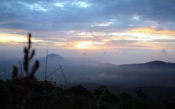 Gunung Sibuatan, Puncak Tertinggi di Sumatera Utara Simpan Tumbuhan Obat (Foto: Instagram/gunsipab_officiall) Gunung Sibuatan, Puncak Tertinggi di Sumatera Utara Simpan Tumbuhan Obat (Foto: Instagram/gunsipab_officiall)